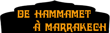 logo-de-hammamet-à-Marrakech-couscous, tajines, grillades -plat-à-emporter-44600-St Nazaire
